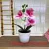 Botanical Phalaenopsis Faux Fake Flower Props For Bridal Events And Party Decor