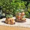 Cute Capybara Small Plant Pot Resin Succulent Planter for Home Office Desk Mini Ornament Fairy Garden Flowerpot Decoration