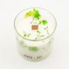 Agnes + Cat Botanical Soy Wax Candle – Fellberry
