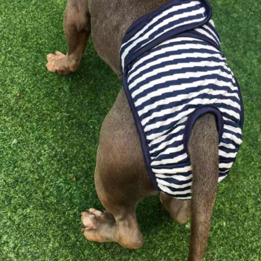 Briefs Nappy For Female Male Dog Dog Pant Physiological Underwear Pet Short Menstruation Diaper
