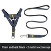 Multi-Size Dog Leash & Collar Set for Walking - Suitable for Small To Large Breeds
