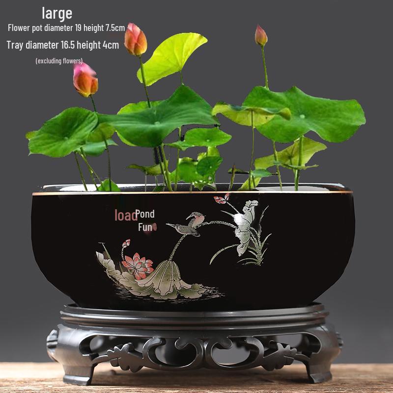 Großer Keramik-Lotus Seerose Hydroponischer Blumentopf ohne Abfluss