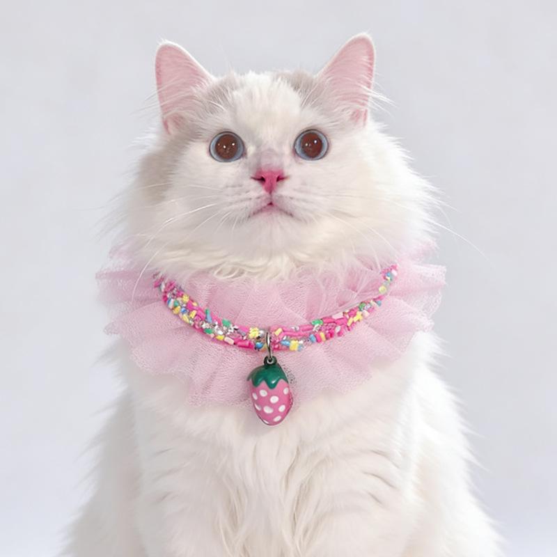 

Exclusive Pet Collar and Bib for Cats and Puppies