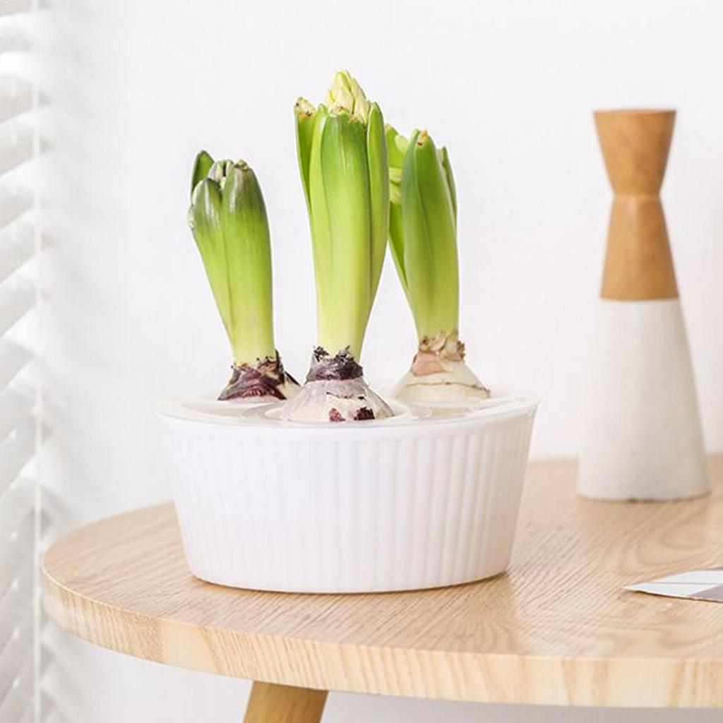 Hydroponic Planter 3 Hole Vase Flower Bulb Planting Container Hyacinth Planter Garden Windowsill Plant Pot Water Growing Kit