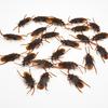 12Pcs Funny Plastic Simulation Cockroach Bug Fly Trick Toy Halloween Party Props