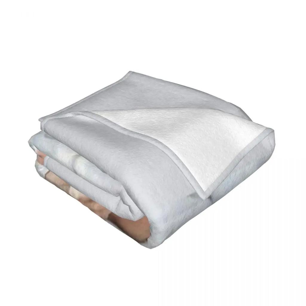 chayanne Throw Blanket Nap Flannels Blankets blankets for beds  thin blanket  throw blanket  picnic blanket  coraline