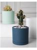 Morandi Colorful Ceramic Cylinder Flower Pots with Saucers for Indoor/Outdoor Plants
