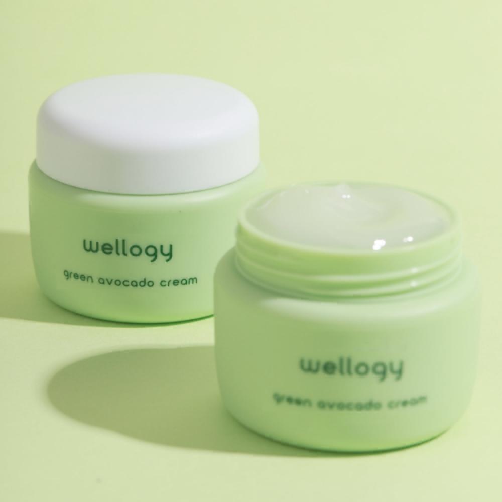 Wellogy Highly Moisturizing Moisture Cream Avocado Cream
