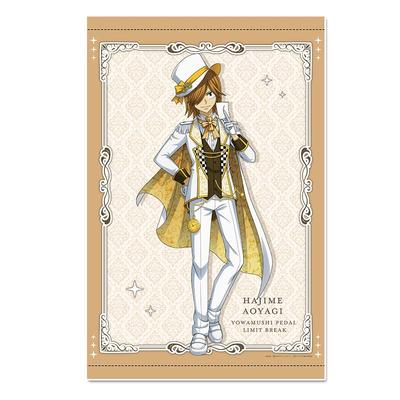 Koberce a koberčeky – Gobelíny