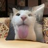 Cat Funny MEME Pillow Case Pillowcase Doublesided Printed Sofa Cushion Bedroom Headboard Pillow