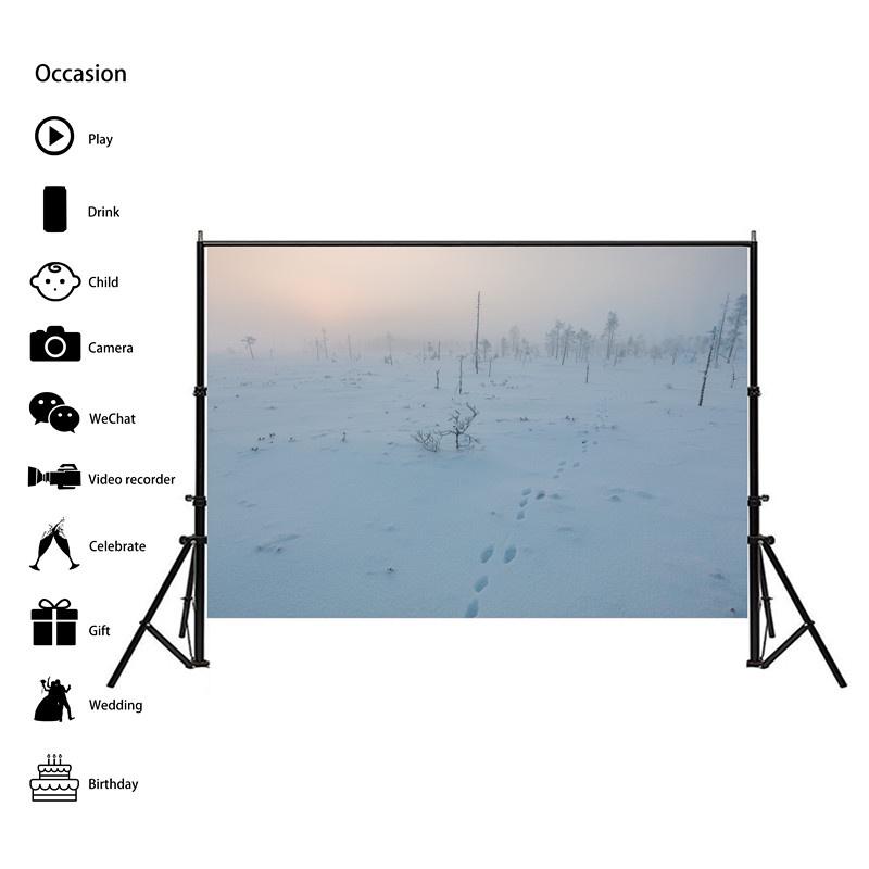 Winter Theme Snow Scene Background Nature Landscape Sky Snowflake Christmas Portrait Prop Party Decoration Banner