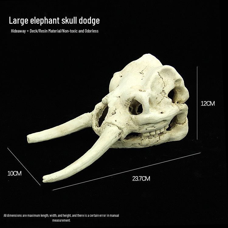 Akril Hüllőtenyésztő Doboz Dekoratív Koponyával