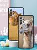 Animal Camel Phone Case for Samsung Galaxy A55 A35 A15 A14 A13 A25 A54 A51 A71 A72 A73 A32 A52 A41 5G Soft TPU Shell Fundas Bags