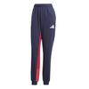 Womens/Ladies Team GB Joggers