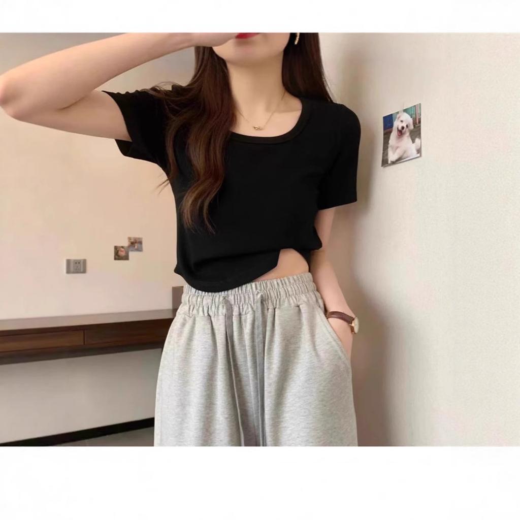 French Square Collar Curved Hem Short-sleeved T-shirt Women's Summer New Solid Color Slim-fitting Versatile Niche Top Tide