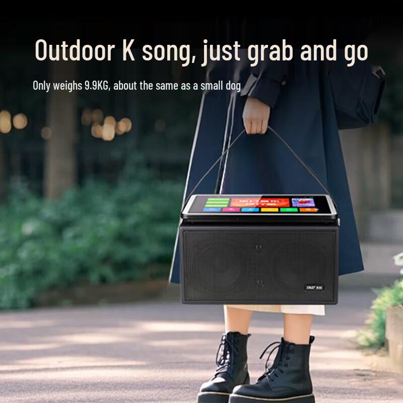 SAST All-in-One Karaoke Speaker System (CN version)