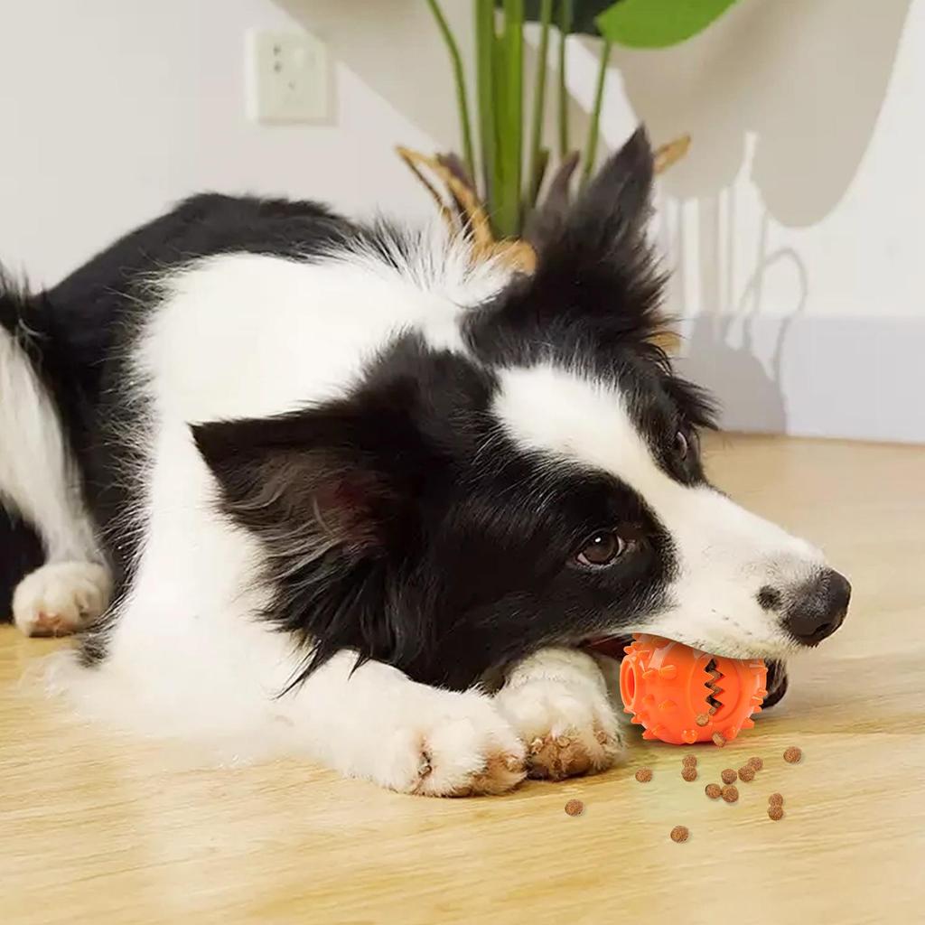 Interactive Dog Teething Ball - Bite-Resistant Toy for Self-Play, Dental Cleaning, and Boredom Relief