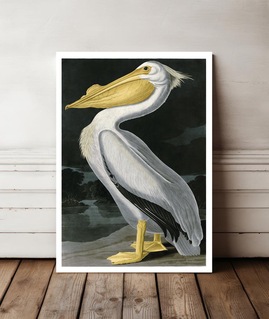 Poster Pelican Bird Vintage