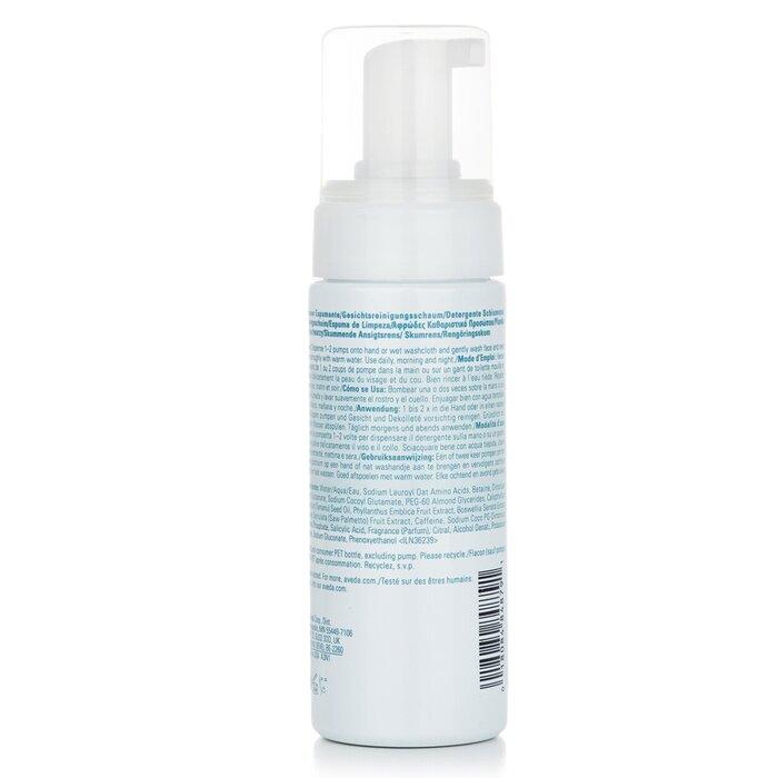 AVEDA Outer Peace Foaming Cleanser