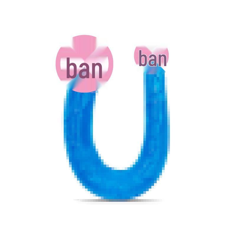 Double-Ended U-Shaped Dildo & Anal Plug Set for Women