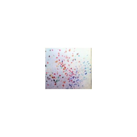 Used CD / Colin Vallon Trio / Les Ombres