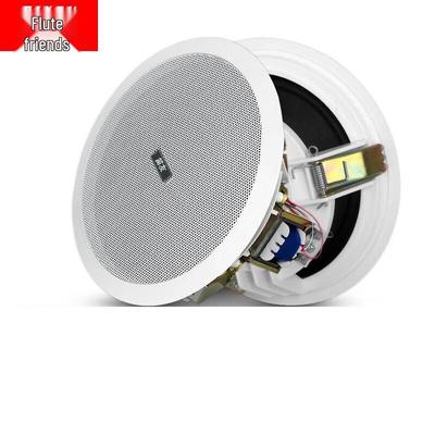Diyou 6.5-inch Ceiling Speaker Public Broadcasting System CN Plug (adapter Included)