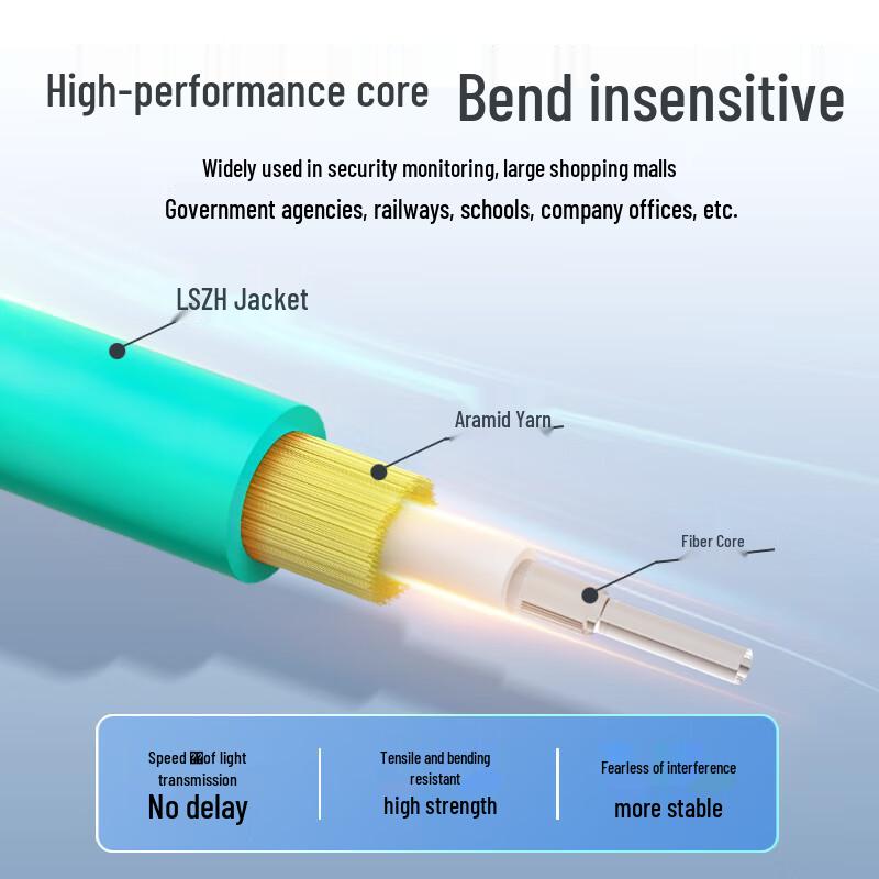Yangye OM3 10 Gigabit Multimode LC-LC Fiber Patch Cable