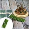 40 Grass Cluster Vegetation Groups Tufts, Scenery for DIY Architecture Building Garden