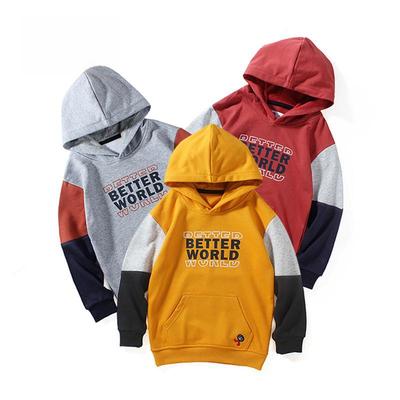 New Spring Korean-Style Boys' Hooded Sweatshirts: Thick, Warm Terry Tops for Older Children