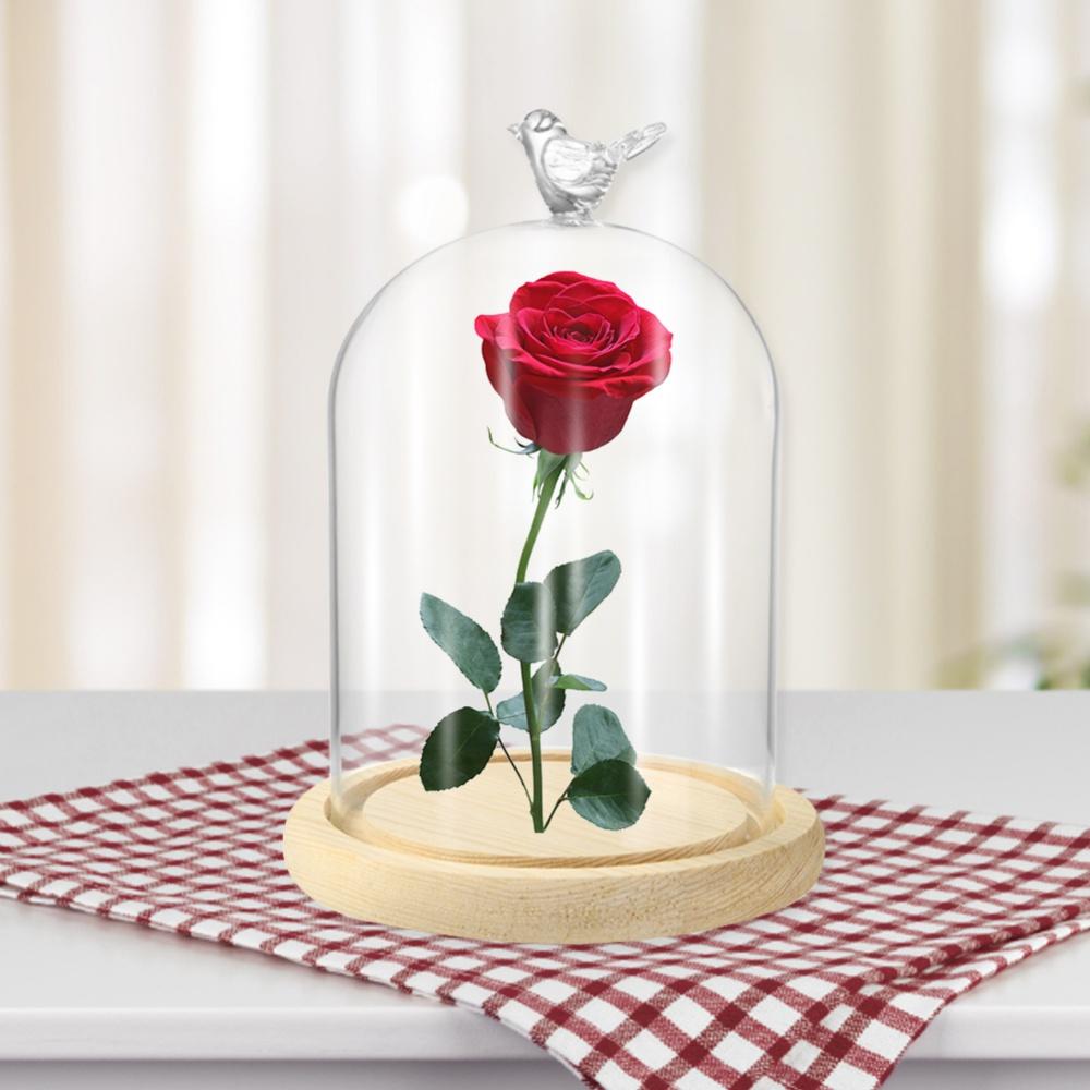 Clear Glass Display Cloche Dome with Bird Handle Wooden Base, Immortal Flower Glass Cover Large Size Office Home Decoration