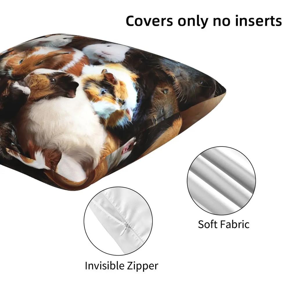 Guinea Pigs 2 Pcs Square Pillowcase Pillow Cover Cushion Zip Decorative Comfort Throw Pillow For Home Bedroom