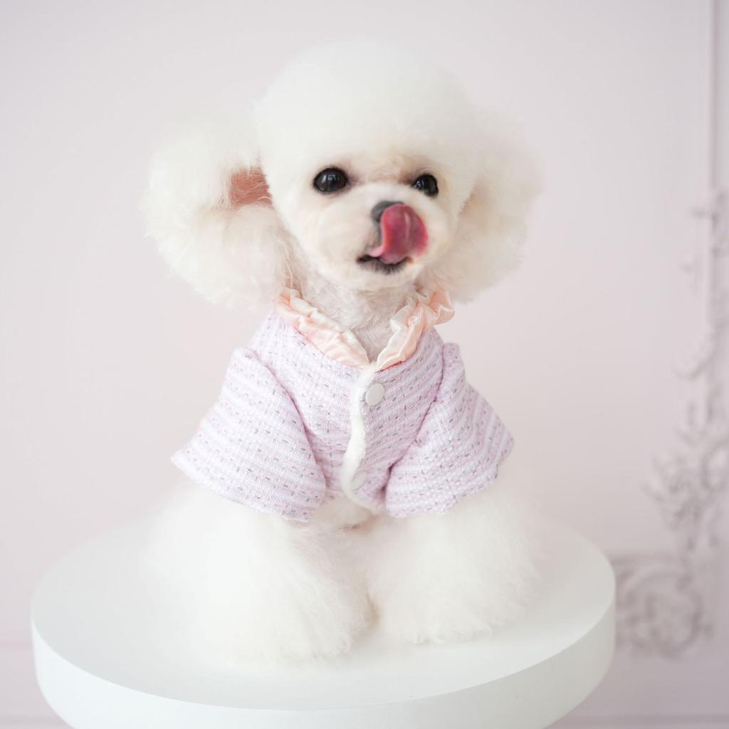 Pet Sweater Jacket Multi-layer Skirt Warm and Cold Proof Winter Clothing Can Be Pulled with Two Legs Clothes Puppy Clothes
