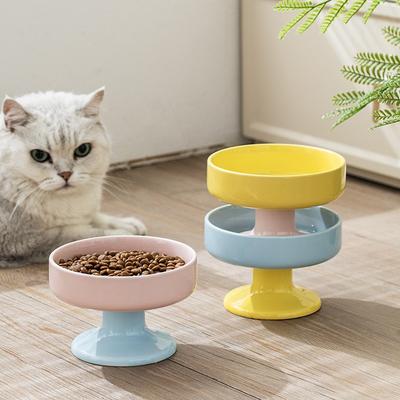 Kedi – Kedi Besleme ve Sulama Malzemeleri