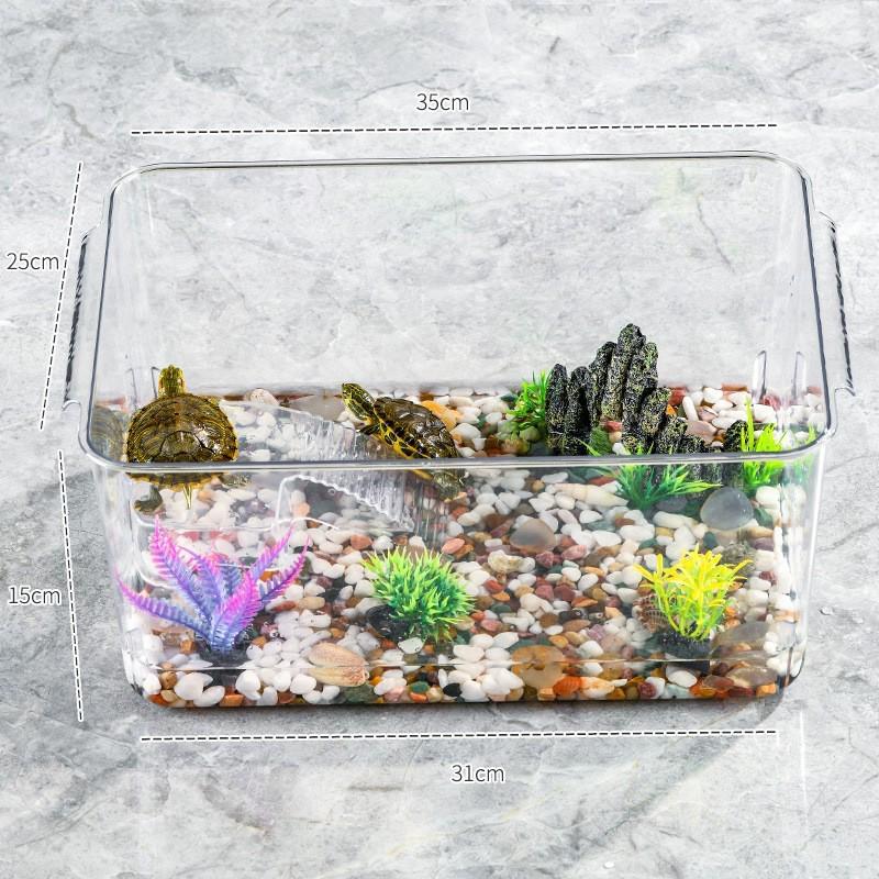Eco-Friendly Betta Fish Tank: Stylish Desktop Micro Landscape for Living Room & Office with Goldfish & Plant Symbiotic Aquarium