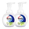 Walch Lime Foam Antibacterial Hand Wash