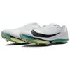 Nike Air Zoom Maxfly 2 White Bright Spruce Men Sneakers Barely-Green Black FD8395-102