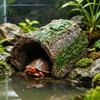 Gecko Tank Accessories Reptile Hideout Cave, Tree Trunk Lizard Realistic Arched Mossy Bark Hideaway for Spiders Tortoises Terrarium Decoration