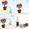 Automatic Plant Waterers Potted Flower Self Watering Stakes Devices Slow