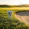 Golf Tee Marker Pointed Metal Stake CupShaped Open rims Athletic Gear
