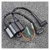 Motorcycle Ignition Coil Ignition Coil Assembly for Suzuki Outboard Engines 9.9HP 15HP 40HP DF15