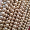 Champagne Color Imitation Shell Pearl Beads 6-12mm for DIY Jewelry, Round Spacer Beads, Loose Beads