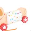 Animal Push and Pull Along Toys, Arithmetic Learning Toy, Toy for Kids Birthday Gifts