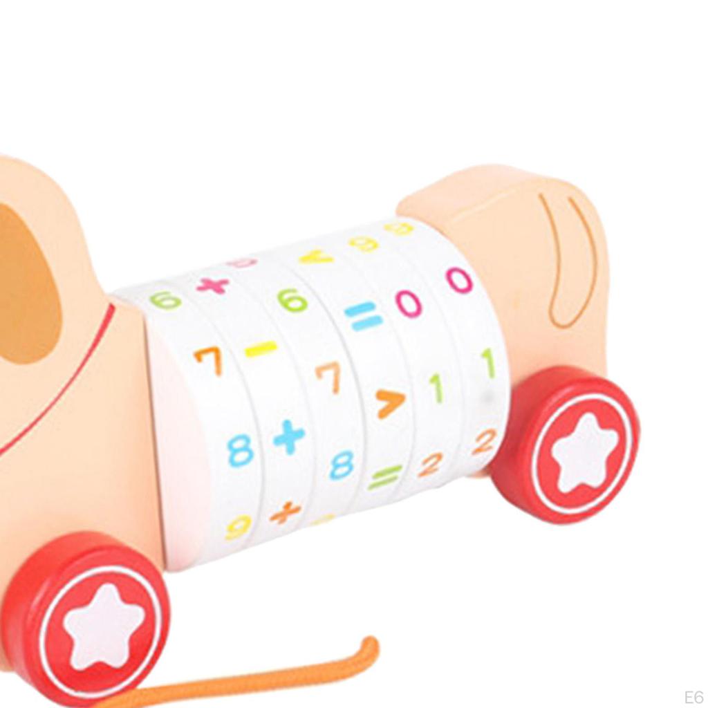 Animal Push and Pull Along Toys, Arithmetic Learning Toy, Toy for Kids Birthday Gifts