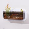 Transparent Wall-Mounted Plant & Fish Tank for Office/Living Room Décor