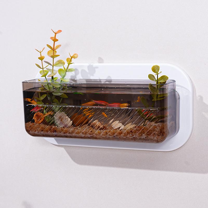 Transparent Wall-Mounted Plant & Fish Tank for Office/Living Room Décor