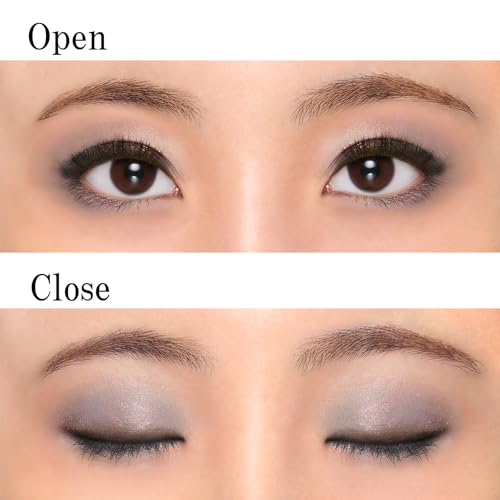Chifure Gradation Eyeshadow 06 Gray