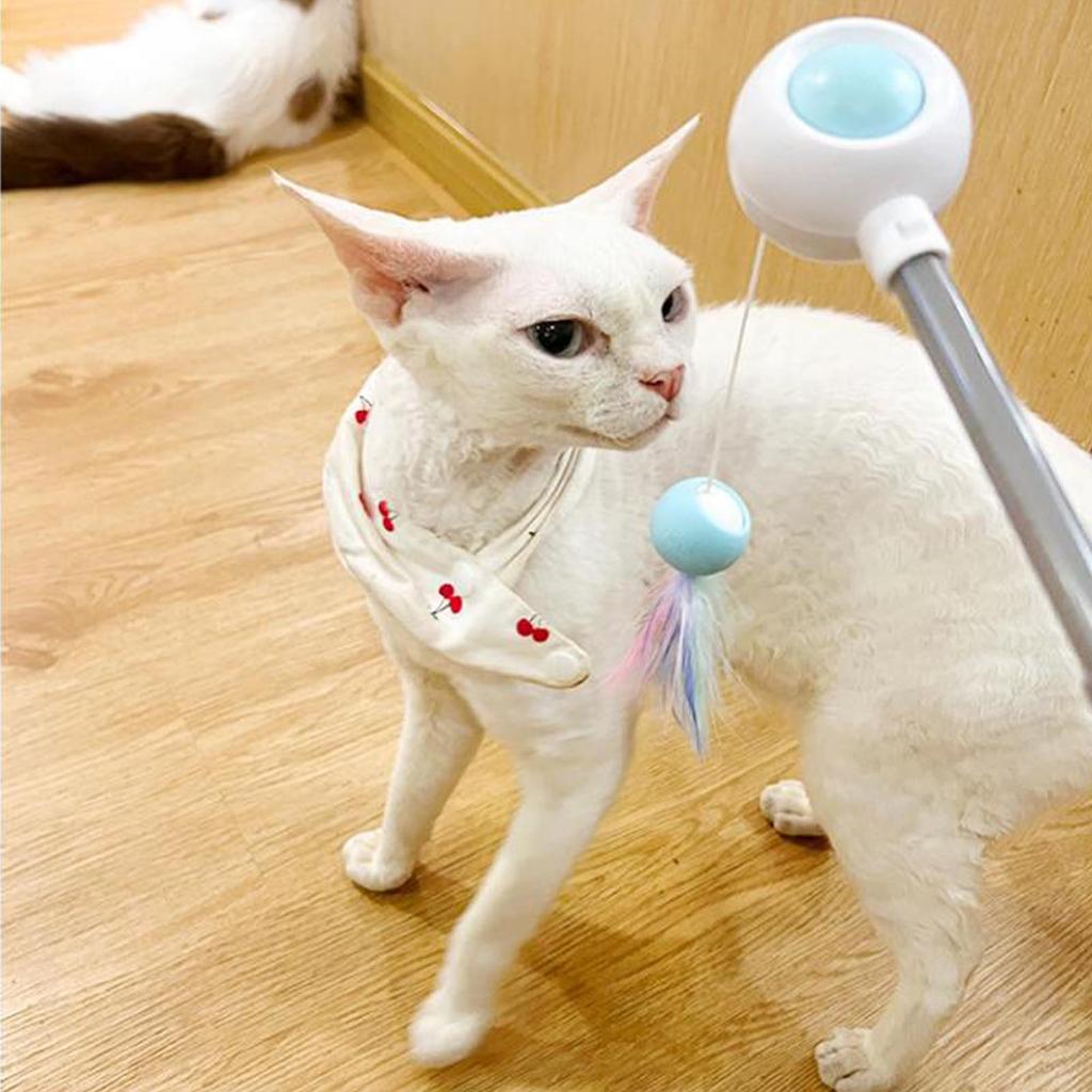 Retractable Cat Wand Attract Attention Cat Teaser Wand Toy Cat Interactive Toy for Exercise Blue