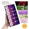 18Pcs Romantic Scented Soap Rose Flower Artificial Rose Flowers  Valentine's Day