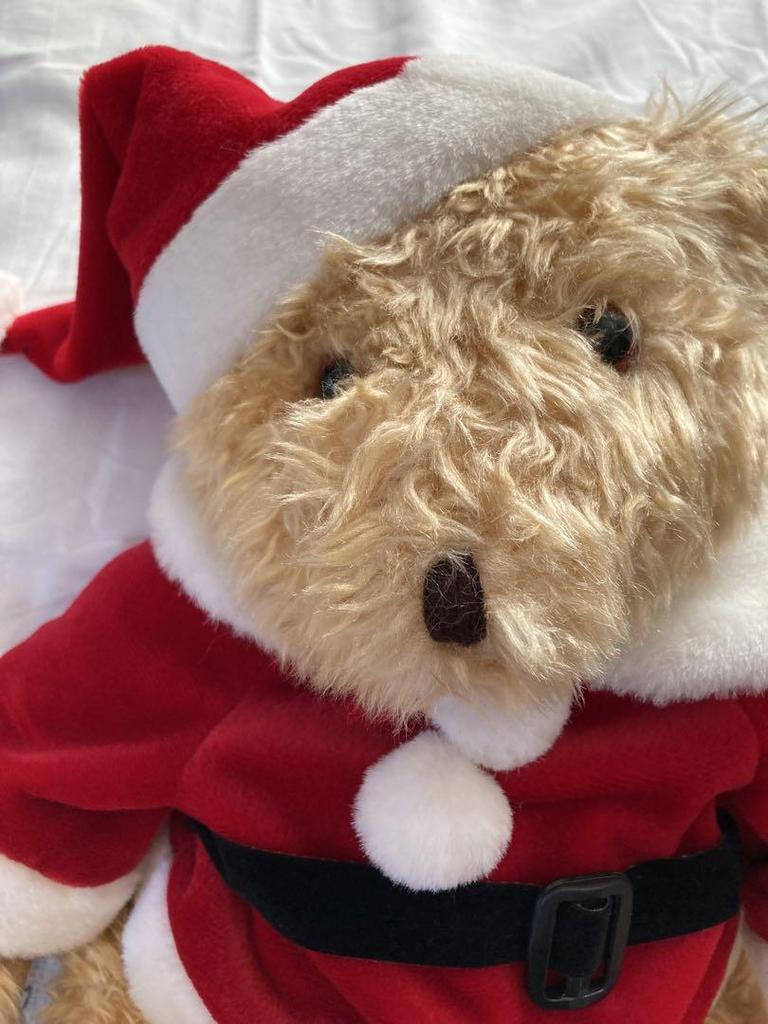 [USED] Santa Claus teddy bear backpack