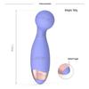 Portable Rechargeable Vibrator Set: Mini AV Vibrator & Teasing Egg for Women